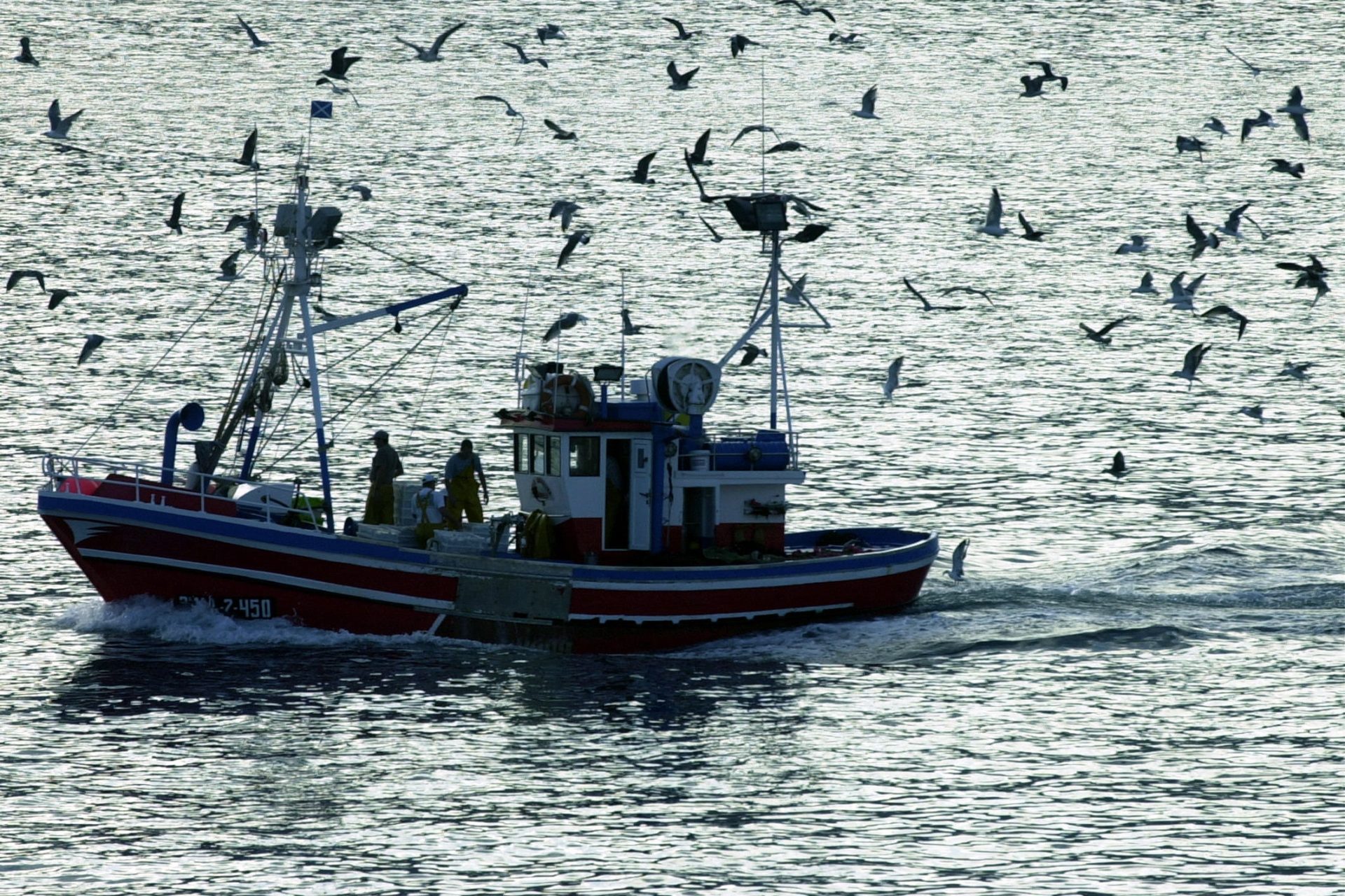 TF.03. SANTA CRUZ DE TENERIFE, 19.09.05.- En la imagen, un barco pesquero se dirige a puerto seguido por una bandada de gaviotas. El director general de Estructuras y Mercados Pesqueros del MAPA, Alberto López, afirmó hoy que el Gobierno prevé aprobar a finales del próximo año una normativa para facilitar el uso turístico de embarcaciones pesqueras, como ya se viene haciendo en las islas canarias de La Graciosa y La Palma, en el Cabo de Peñas (Asturias) y en el Golfo de Cádiz. EFE/Cristóbal García/svb.