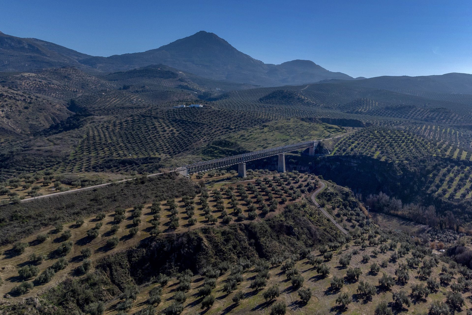 JAÉN, 05/12/2022.- Imagen aérea tomada hoy lunes de una zona de olivares en la comarca de Jaén donde la organización agraria COAG ha alertado de que el comienzo de la recogida de la aceituna ha puesto de manifiesto que la producción de aceite será aún peor de las previsiones realizadas. EFE/José Manuel Pedrosa.