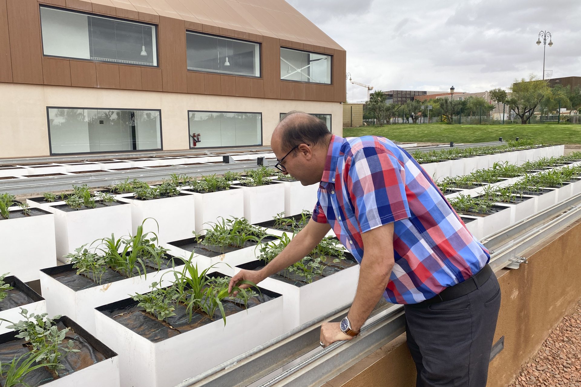 BENGUERIR (MARRUECOS), 17/06/2024.- El doctor Moez Amri, jefe de la plataforma de análisis agrícola de la Universidad Politécnica Mohamed VI (UM6P) de Marruecos. EFE/ Fatima Zohra Bouaziz