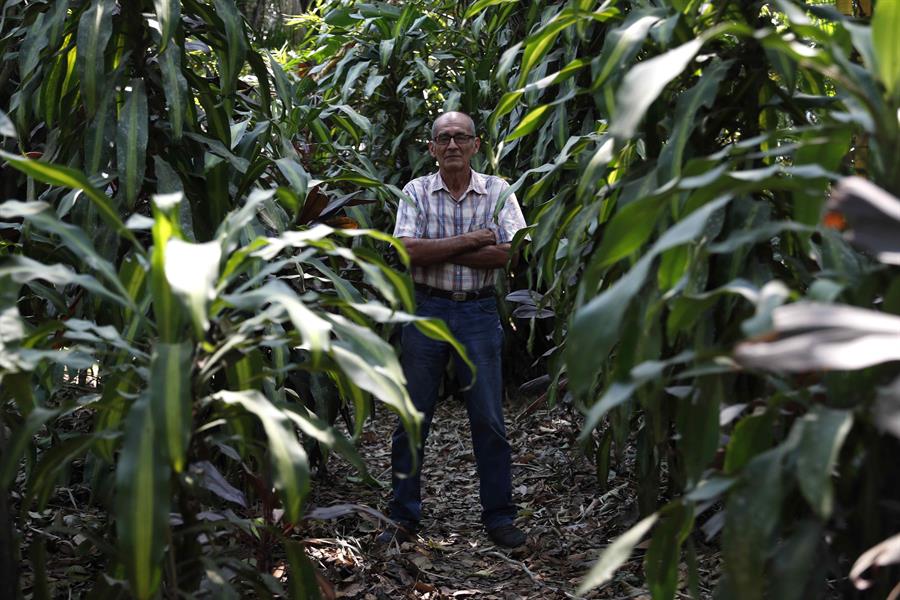 Fotografía de archivo del conservador ambiental peruano, Víctor Zambrano, el 5 de septiembre de 2022, en Puerto Maldonado (Perú). EFE/ Paolo Aguilar