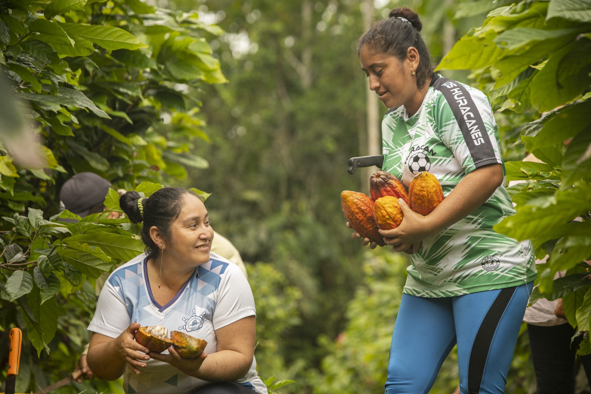 Fotografía cedida por Proamazonia que muestra a recolectoras de cacao. EFE/ Proamazonia / SOLO USO EDITORIAL/ SOLO DISPONIBLE PARA ILUSTRAR LA NOTICIA QUE ACOMPAÑA (CRÉDITO OBLIGATORIO)