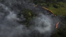 AME7300. MANAQUIRI (BRASIL), 07/09/2023.- Fotografía aérea muestra hoy uno de los incendios causados en la selva amazónica, en el municipio de Manaquiri cerca a Manaos, estado de Amazonas (Brasil). Los incendios en la Amazonía brasileña cayeron un 48 % en agosto, frente al mismo mes de 2022, pero se dispararon frente a julio, según los más recientes datos divulgados por el Gobierno. EFE/ Raphael Alves