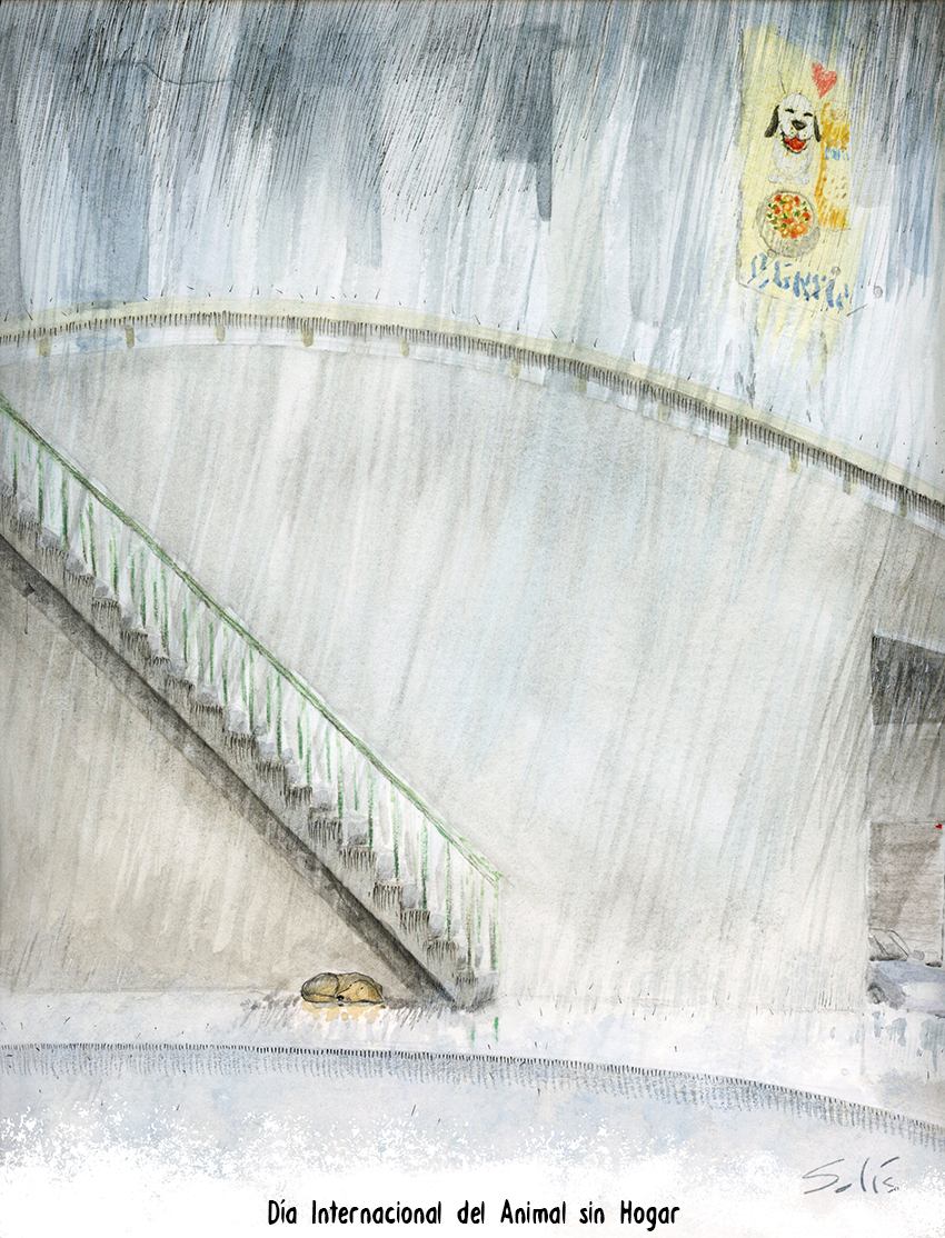 Día internacional del animal sin hogar. Por () Víctor Solís (@Visoor)