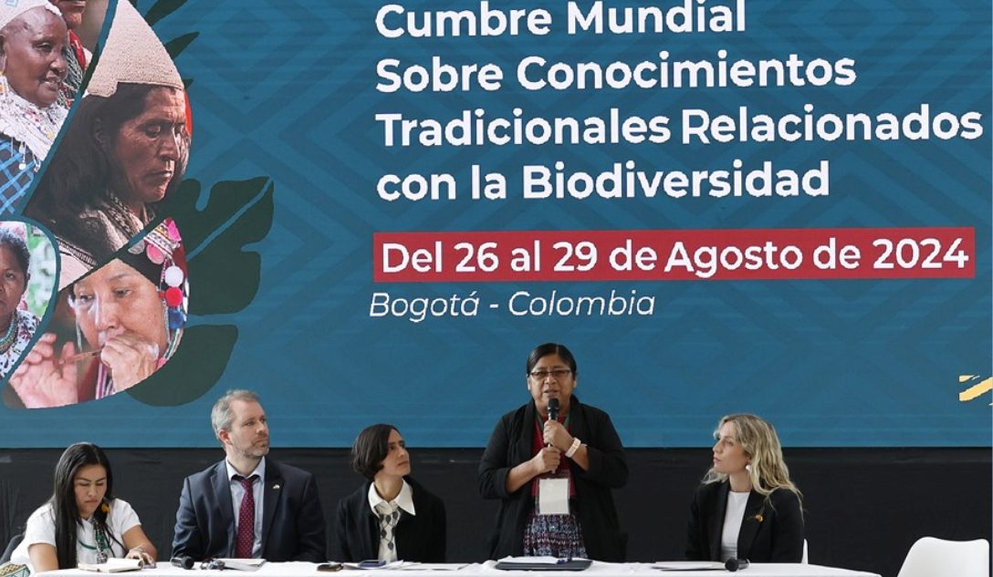 Mauricio Dueñas Castañeda