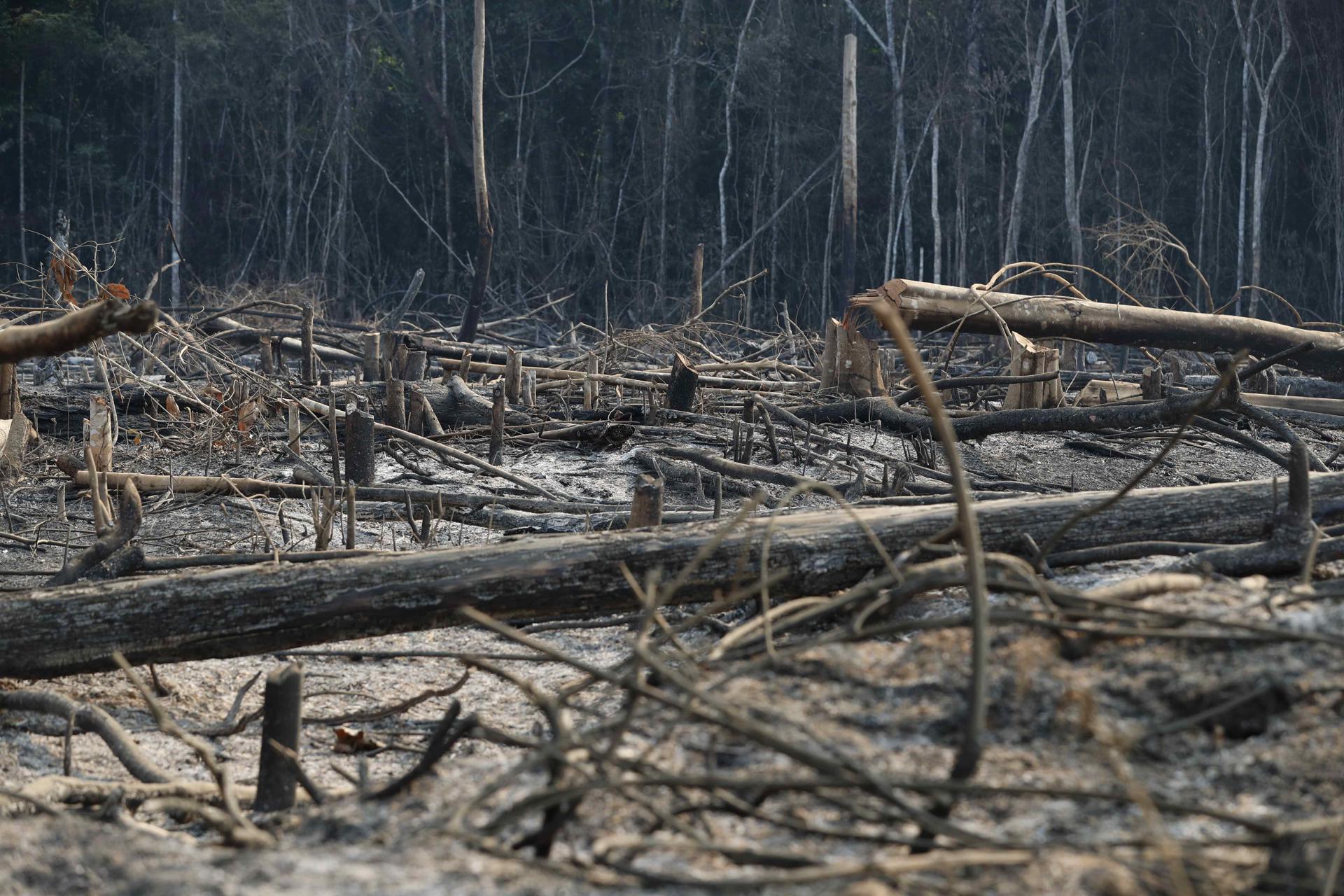 AME5785. MADRE DE DIOS (PERÚ), 25/09/2024.- Fotografía de archivo del 4 de septiembre de 2022 de un bosque quemado en el departamento de Madre de Dios (Perú). Los incendios forestales han devastado miles de hectáreas desde la Amazonía hasta los Andes en Perú y han causado, desde el 1 de julio, 20 muertos. EFE/ Paolo Aguilar