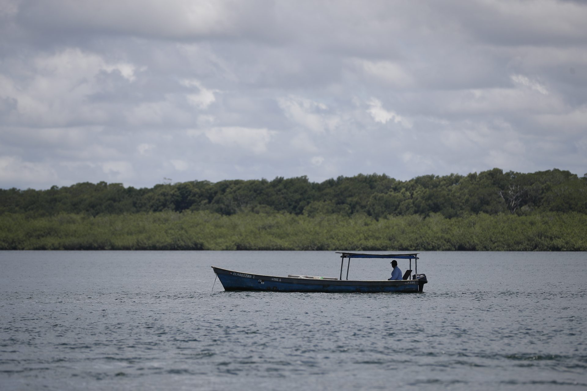 ACOMPAÑA CRÓNICA: PANAMÁ MEDIOAMBIENTE. AME2336. DAVID (PANAMÁ), 25/09/2024.- Fotografía del 14 de septiembre de 2024 de una persona navegando en una lancha, en el distrito de David, provincia de Chiriquí (Panamá). Un controvertido proyecto portuario con inversión extranjera que se levantará en el Pacífico de Panamá se enfrenta con el rechazo de ambientalistas por encontrarse, según alegan, en una zona protegida de manglares, por lo que reclaman su suspensión ante el Supremo panameño, mientras los lugareños lo defienden activamente por su positivo impacto económico. EFE/ Bienvenido Velasco