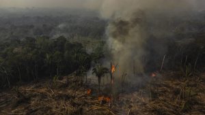 AME7300. MANAQUIRI (BRASIL), 07/09/2023.- Fotografía aérea muestra hoy uno de los incendios causados en la selva amazónica, en el municipio de Manaquiri cerca a Manaos, estado de Amazonas (Brasil). Los incendios en la Amazonía brasileña cayeron un 48 % en agosto, frente al mismo mes de 2022, pero se dispararon frente a julio, según los más recientes datos divulgados por el Gobierno. EFE/ Raphael Alves
