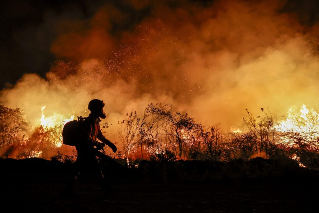 AME8460. CORUMBÁ (BRASIL), 30/06/2024.- Un bombero trabaja en la extinción de un incendio este domingo en la ciudad de Corumbá (Brasil). Los bomberos que actúan contra los incendios en el Pantanal, un vasto humedal compartido por Brasil, Bolivia y Paraguay, consideraron este domingo que las llamas han comenzado a retroceder, pero admitirán que todavía no pueden controlarlas por completo. EFE/ Sebastiao Moreira
