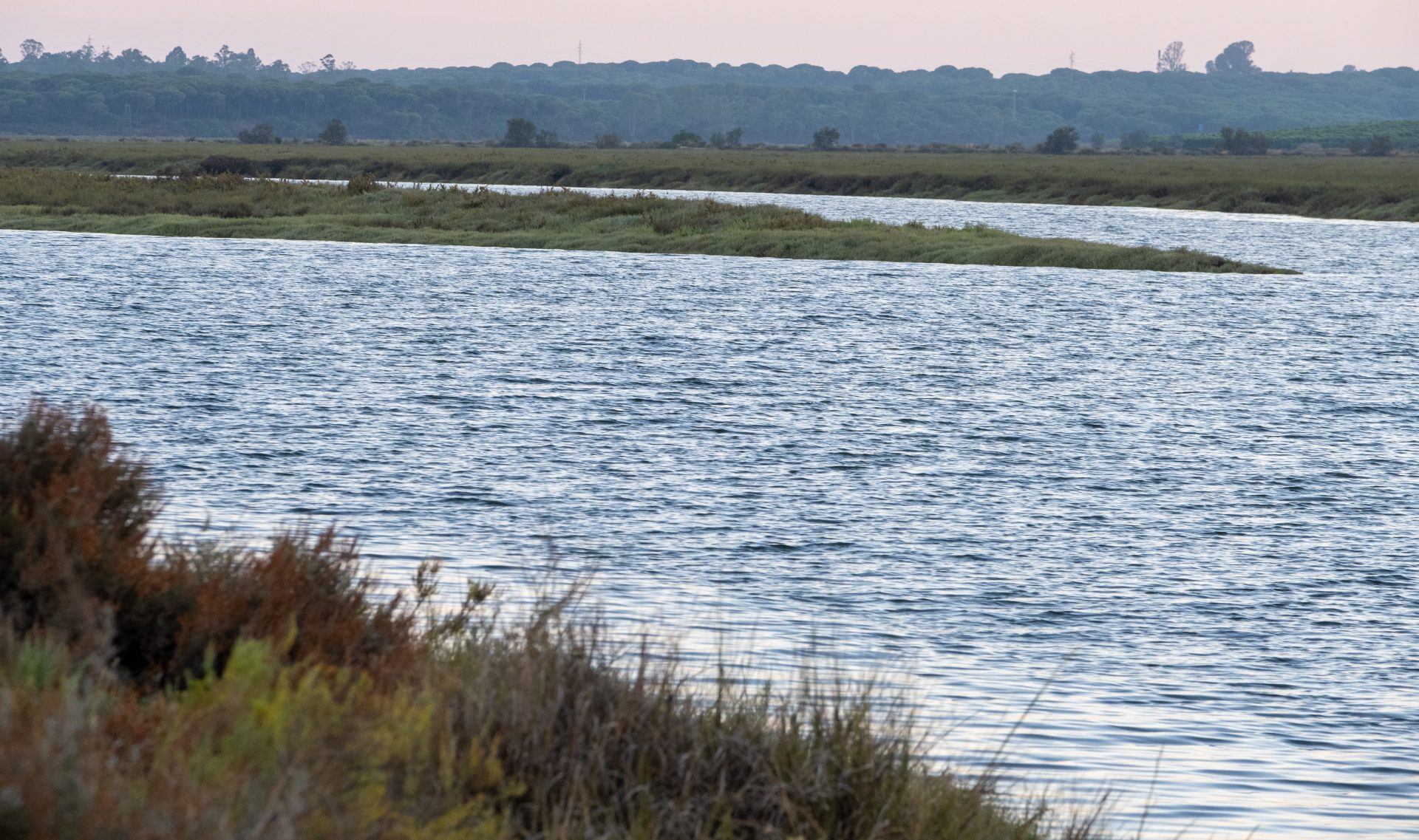 ALJARAQUE (HUELVA), 06/08/2022.- La naturaleza alberga espacios únicos y singulares como el de los esteros, zonas característicos en el arco Sur Atlántico de la Península Ibérica localizados en las provincias de Huelva, Cádiz y Sevilla, que son parte de la red de drenaje de las marismas que poseen una enorme biodiversidad y son fuente de riqueza económica de distintos sectores productivos. En la imagen, un estero de las Marismas del Odiel, ubicado en Aljaraque (Huelva). EFE/Julián Pérez