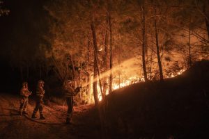 OÍMBRA (OURENSE), 06/09/2024.- Bomberos forestales trabajan anoche en las labores de extinción de un incendio forestal declarado en Oímbra (Ourense). Un incendio forestal registrado esta noche pasadas las 21:30 horas se encuentra activo en el municipio ourensano de Oímbra y, por el momento, continúa su avance, tras amenazar a una granja de porcino. EFE/ Brais Lorenzo