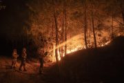 OÍMBRA (OURENSE), 06/09/2024.- Bomberos forestales trabajan anoche en las labores de extinción de un incendio forestal declarado en Oímbra (Ourense). Un incendio forestal registrado esta noche pasadas las 21:30 horas se encuentra activo en el municipio ourensano de Oímbra y, por el momento, continúa su avance, tras amenazar a una granja de porcino. EFE/ Brais Lorenzo