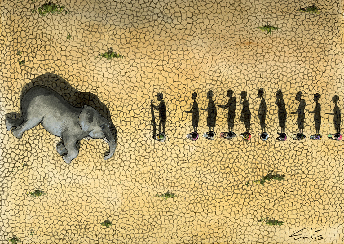 En Zimbabue la sequía trae hambre y ésta trae sacrificio de elefantes. Por @visoor en la #ViñetaVerde en la blogosfera de EFEverde