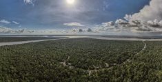 AME8669. BELÉM (BRASIL), 04/04/2023.- Fotografía aérea tomada con un dron una zona de la Floresta Amazónica hoy, en el estado de Pará, norte de Brasil. Google anunció este martes una serie de acuerdos y donaciones para ofrecer herramientas tecnológicas, especialmente la inteligencia artificial y el aprendizaje de máquinas, en proyectos de combate a la deforestación y los incendios en la Amazonía brasileña. EFE/ Antonio Lacerda