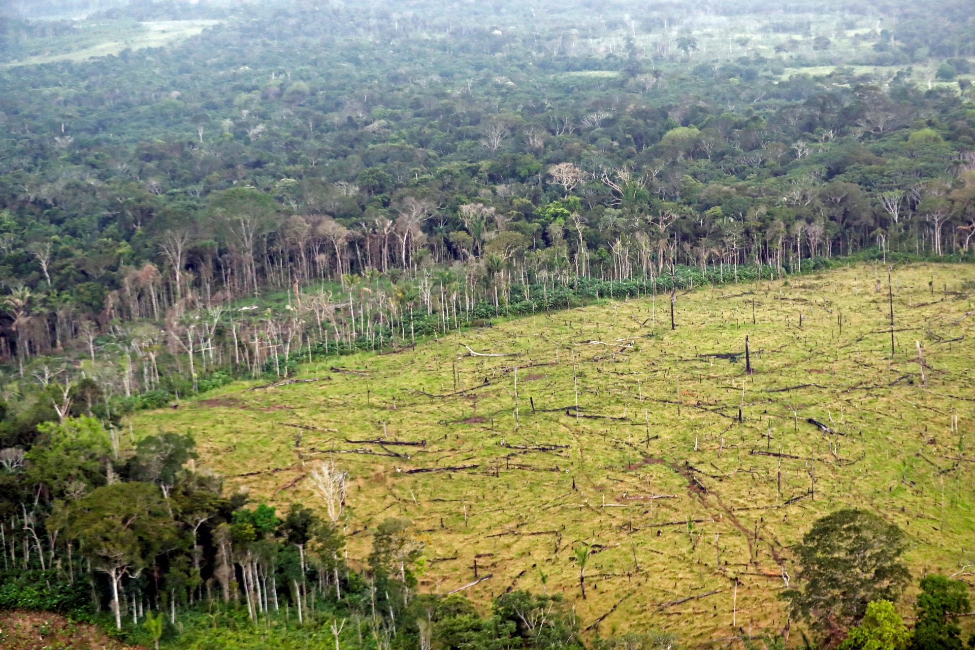 Fotografía de archivo del 3 de septiembre de 2020 de una zona deforestada en Nueva Colombia (Colombia). EFE/ Mauricio Dueñas Castañeda