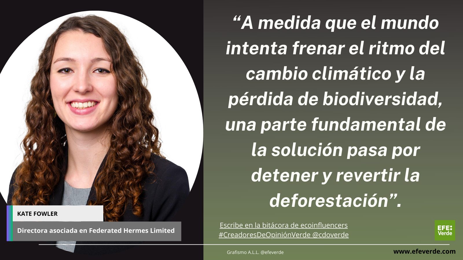 Deforestación ¿Cómo lograr que la próxima década sea mejor que la anterior Por Kate Fowler (Federated Hermes Limited) en #CreadoresDeOpiniónVerde en EFEverde
