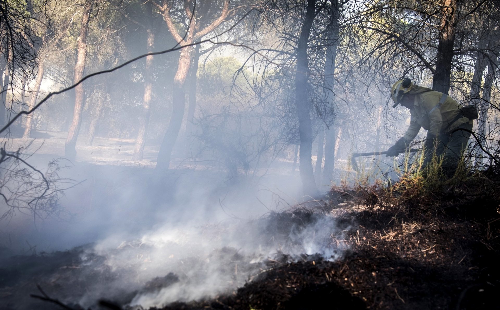 GRA385. GIBRALEÓN (HUELVA), 24/07/2017.- Efectivos del Plan Infoca trabajan en la extinción de un incendio forestal que se ha declarado esta tarde en el paraje 'Casa de la Cañada del Corcho', en el término municipal de Gibraleón (Huelva). EFE/Julián Pérez