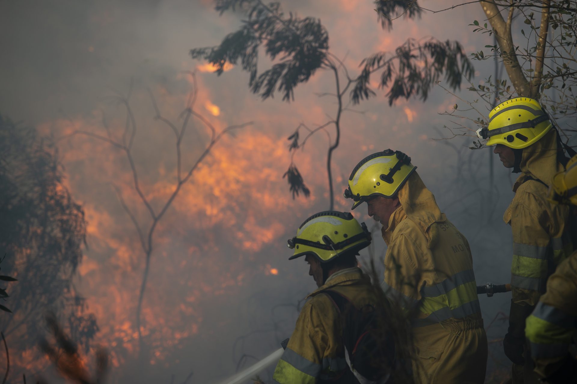 Agentes del Medio Natural y Bomberos Forestales del Gobierno de Cantabria durante los trabajos de extinción de un incendio forestal declarado este jueves en la localidad cántabra de Treceño. EFE/Pedro Puente Hoyos