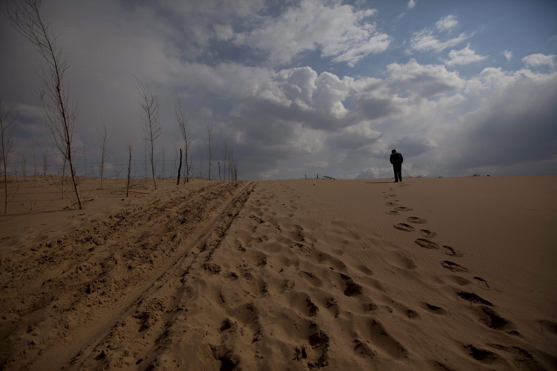 HHY03 KUNLUN QI (CHINA) 16/05/11.- Un hombre camina ante unos árboles recién plantados en el desierto de Taminchagan, en Kunlun Qi, Región Autónoma de Mongolia Interior, China, el 23 de abril de 2011. Mongolia interior, la tercera provincia más grande de China, y al menos otras siete provincias luchan contra la desertificación grave. China ha adoptado medidas para parar la degradación de tierra como la reforestación, reasentar nómadas mongoles de prados a áreas urbanas y restringir las zonas de pasto. Según el gobierno, la reforestación es clave. Muchas organizaciones no gubernamentales apoyan los esfuerzos de repoblación forestal del gobierno. La ONG "Shanghai Roots and Shoots" lanzó en Kunkun Qi en 2007 el Proyecto Millón de Árboles con el objetivo de plantar su primer millón de árboles antes del año 2014. Hasta el momento, ha plantado más de 600.000 árboles. EFE/HOW HWEE YOUNG