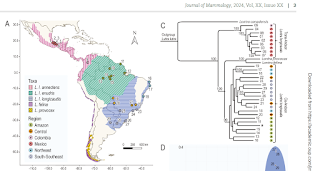 Extracto tomado del artículo incluido en el texto sobre el género Lontra en  Mesoamérica. 