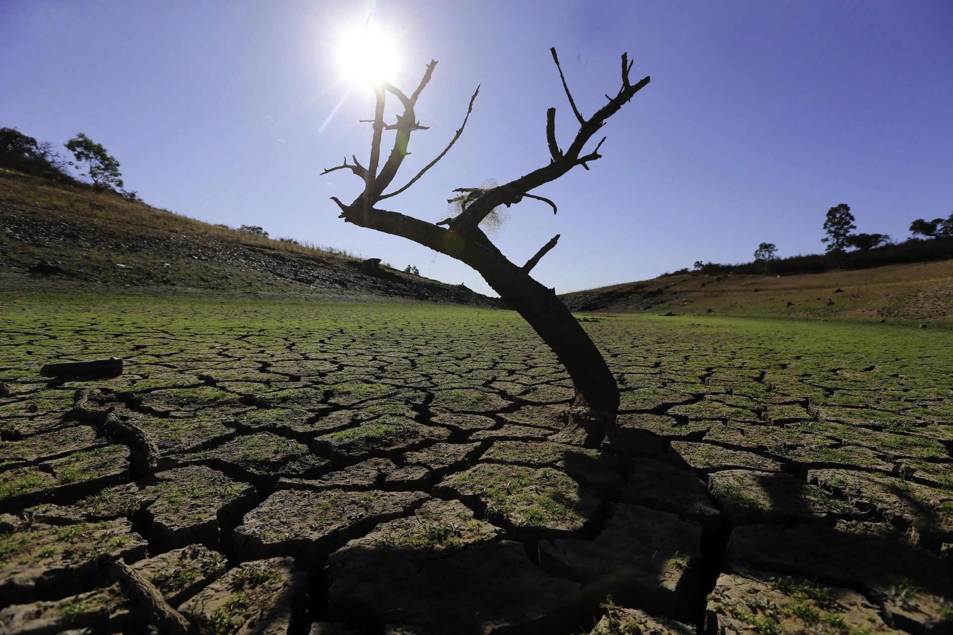 NV01. REDONDO (PORTUGAL), 18/09/2017.- Fotografía del 17 de septiembre de 2017, de un árbol muerto en un terreno seco en medio de Vigia Dam, en Redondo, sur de Portugal. El nivel de agua en la presa de Vigia en la región de Alentejo cayó al 11 por ciento, ya que más del 80 por ciento del país enfrenta condiciones de sequía "severa" y "extrema", las peores en más de 20 años, según fuentes oficiales. EFE/Nuno Veiga