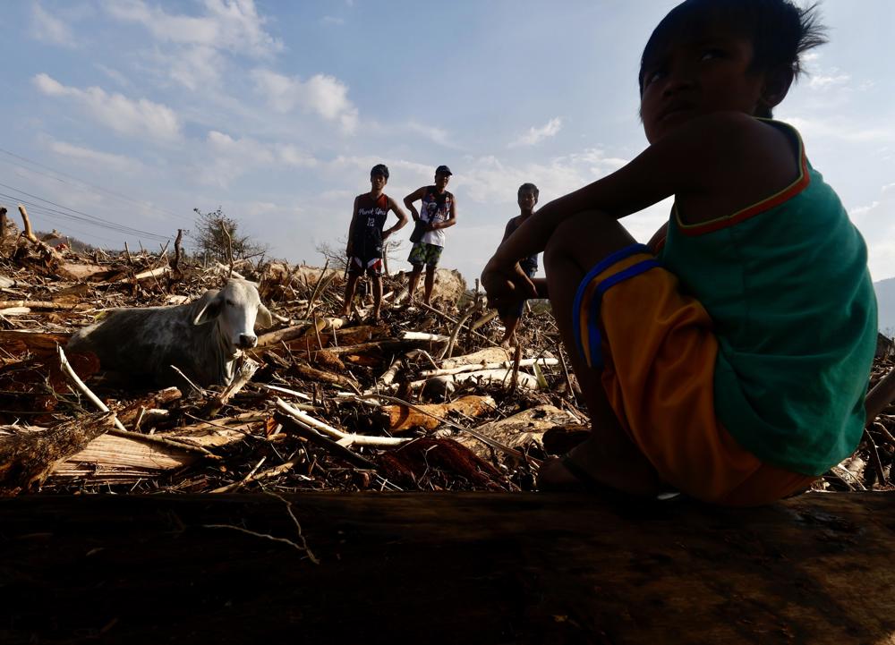 Santa Ana (Filipinas), 15 de noviembre de 2024.- Aldeanos filipinos observan al ganado atrapado entre troncos y escombros causado por el tifón Usagi en el municipio costero de Santa Ana, provincia de Cagayán, Filipinas, el 15 de noviembre, que azotó Filipinas, trajo más daños después el ataque de Tifones Toraji, Trami, Yinxing y Kong-rey. (Filipinas) EFE/EPA/FRANCIS R. MALASIA