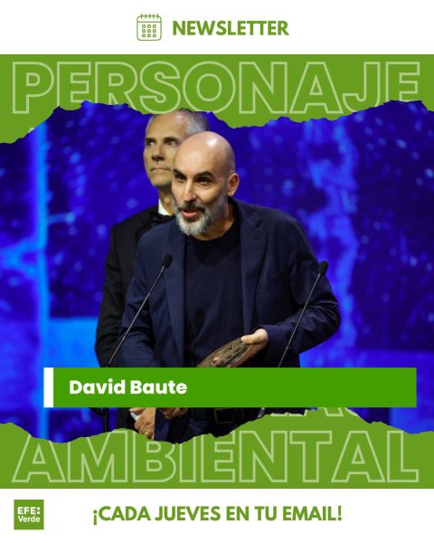 David Baute, personaje ambiental de la semana en planeta sostenible