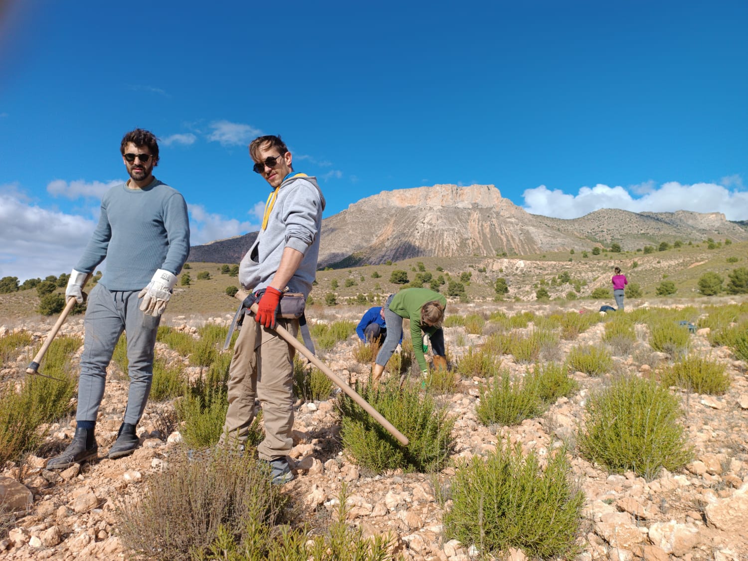 Gabriel Molina y Rodrigo Vargas, fundadores de la agencia de comunicación A Regenerar. Imagen cedida por A Regenerar.