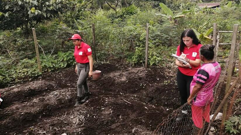 Voluntarias de la filial Morona Santiago de la Cruz Roja Ecuatoriana visitaron los huertos familiares que se están desarrollando en la comunidad amazónica Shuar de Santa Isabel. Foto: Cruz Roja Ecuatoriana / IFRC / uso editorial