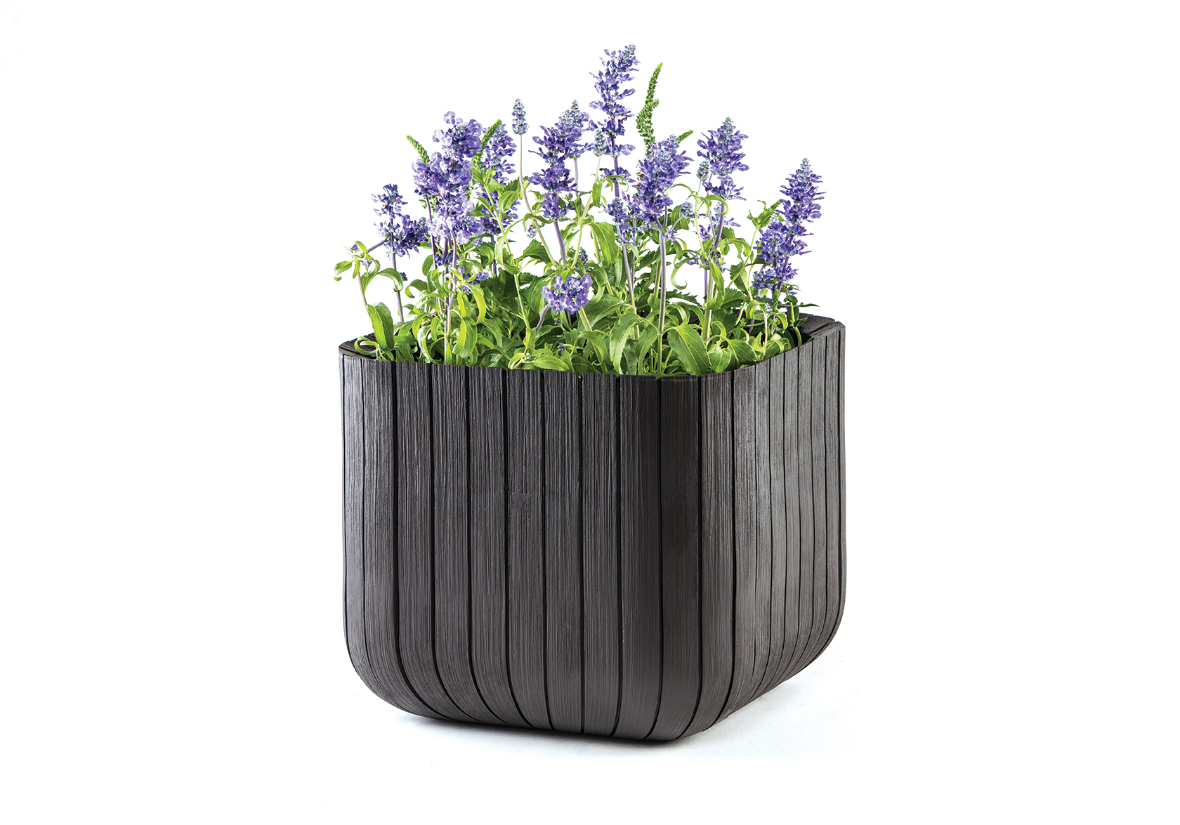 Modelo de maceta Wood Planter. Imagen cedida por Finda Sense.