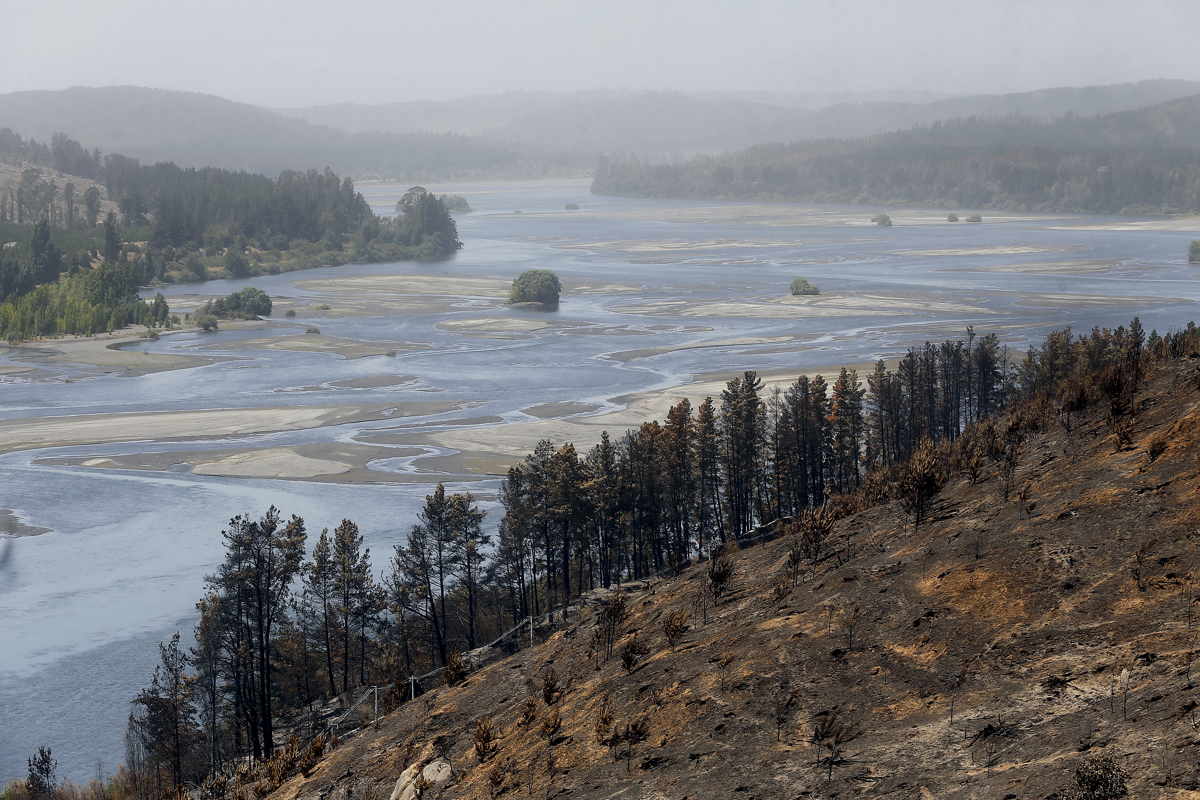 Fotografía de archivo del 16 de febrero de 2023 de terrenos consumidos por el fuego junto al Río Bío Bío en la comuna de Santa Juana (Chile). El 74 % de los países de América Latina y el Caribe enfrenta una alta frecuencia de eventos climáticos extremos, y el 50 % se considera vulnerable porque tienen una mayor probabilidad de sufrir impactos en sus índices de subalimentación debido a estos fenómenos, dice el informe del Panorama Regional de la Seguridad Alimentaria y la Nutrición 2024 publicado este lunes por Naciones Unidas. . EFE/ Esteban Garay / ARCHIVO