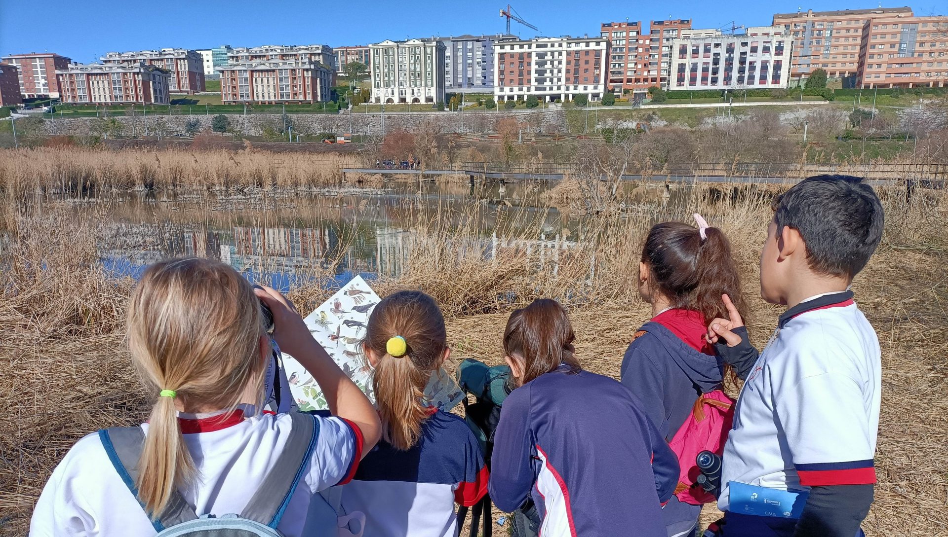 Escolares observando e identificando aves. Imagen cedida por SEO/BirdLife