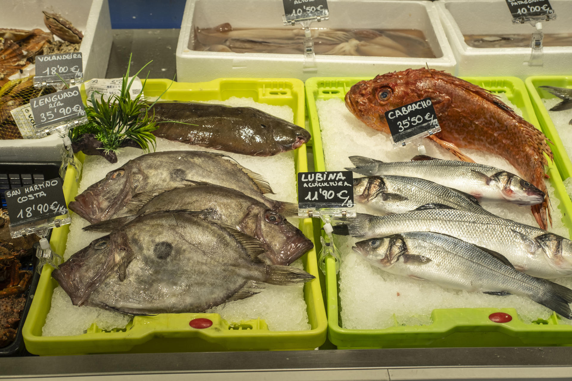 Pescado y marisco puesto a la venta en el Mercado de Ponte Canedo, Ourense, este martes. EFE/Brais Lorenzo