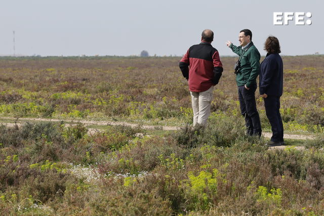 GRAFAND6331. SEVILLA, 10/02/2025.-El presidente de la Junta de Andalucía, Juanma Moreno (c), acompañado por la consejera de Sostenibilidad y Medio Ambiente, Catalina García (d) y el director del Parque Nacional de Doñana y del Entorno Natural Doñana, Juan Pedro Castellano, durante la visita realizada a la finca Tierras Bajas, colindante con Veta la Palma y el Guadalquivir, que la Junta ha adquirido y con la que amplía hasta las 8.700 hectáreas los terrenos de su propiedad en el Parque Natural de Doñana y cuya adquisición considera "un hito histórico". EFE/José Manuel Vidal