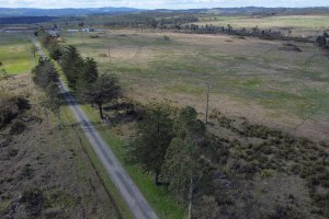 En la imagen, la finca RioSeco donde se quiere instalar la macrocelulosa. EFE/Eliseo Trigo