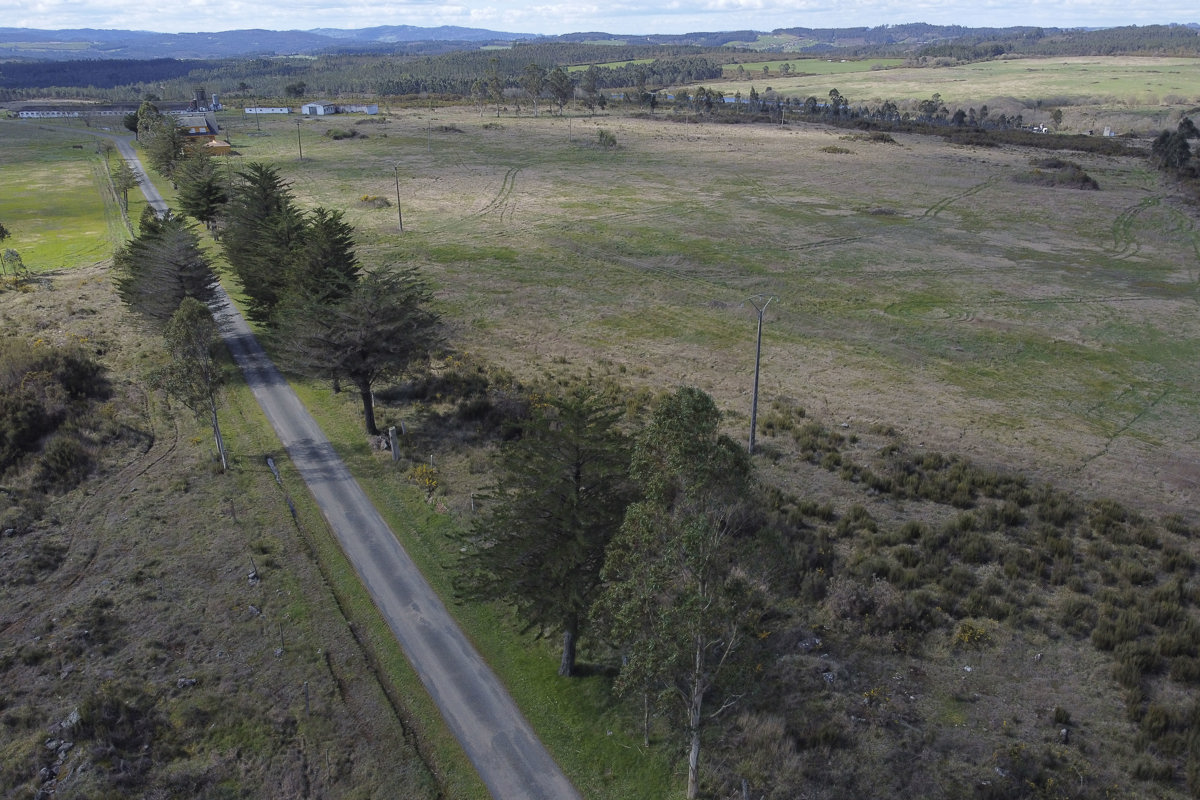 En la imagen, la finca RioSeco donde se quiere instalar la macrocelulosa. EFE/Eliseo Trigo