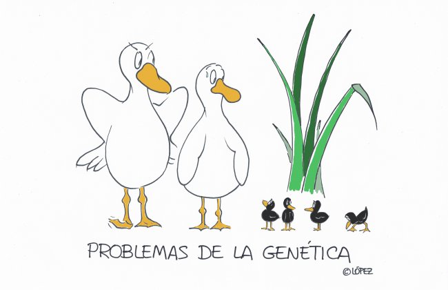 Genética.  Viñeta ambiental por Juan López Rico (#López) en la bitácora de humor gráfico ambiental #VivalaBagatela en @efeverde