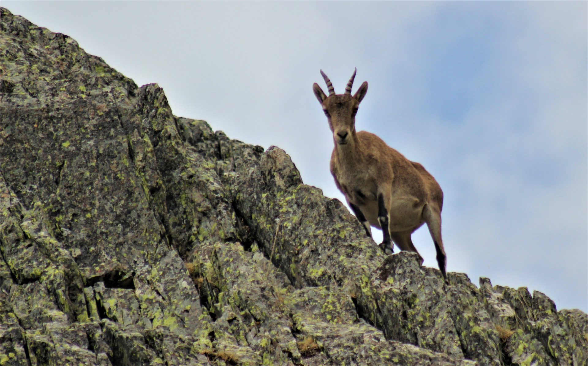 Foto tomada por Arturo Crosby para su bitacora, turismo sostenible en EFEverde
