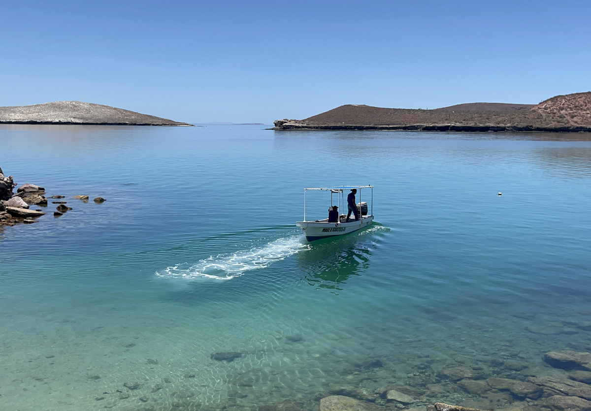 Fotografía de archivo donde se observa a ambientalistas en el Golfo de México. EFE/ Enric Sitjà Rusiñol
