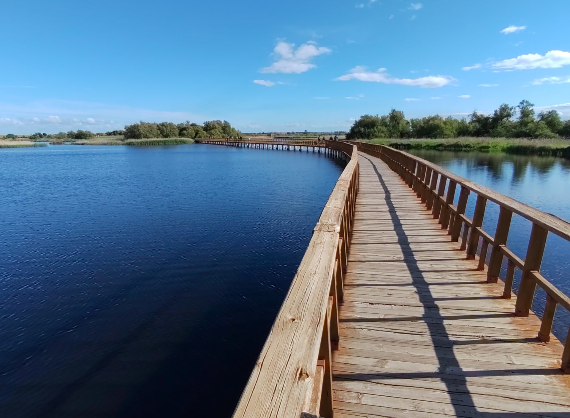 Pasarela en las Tablas de Daimiel en mayo de 2025. EFE/Pedro Pablo G. May