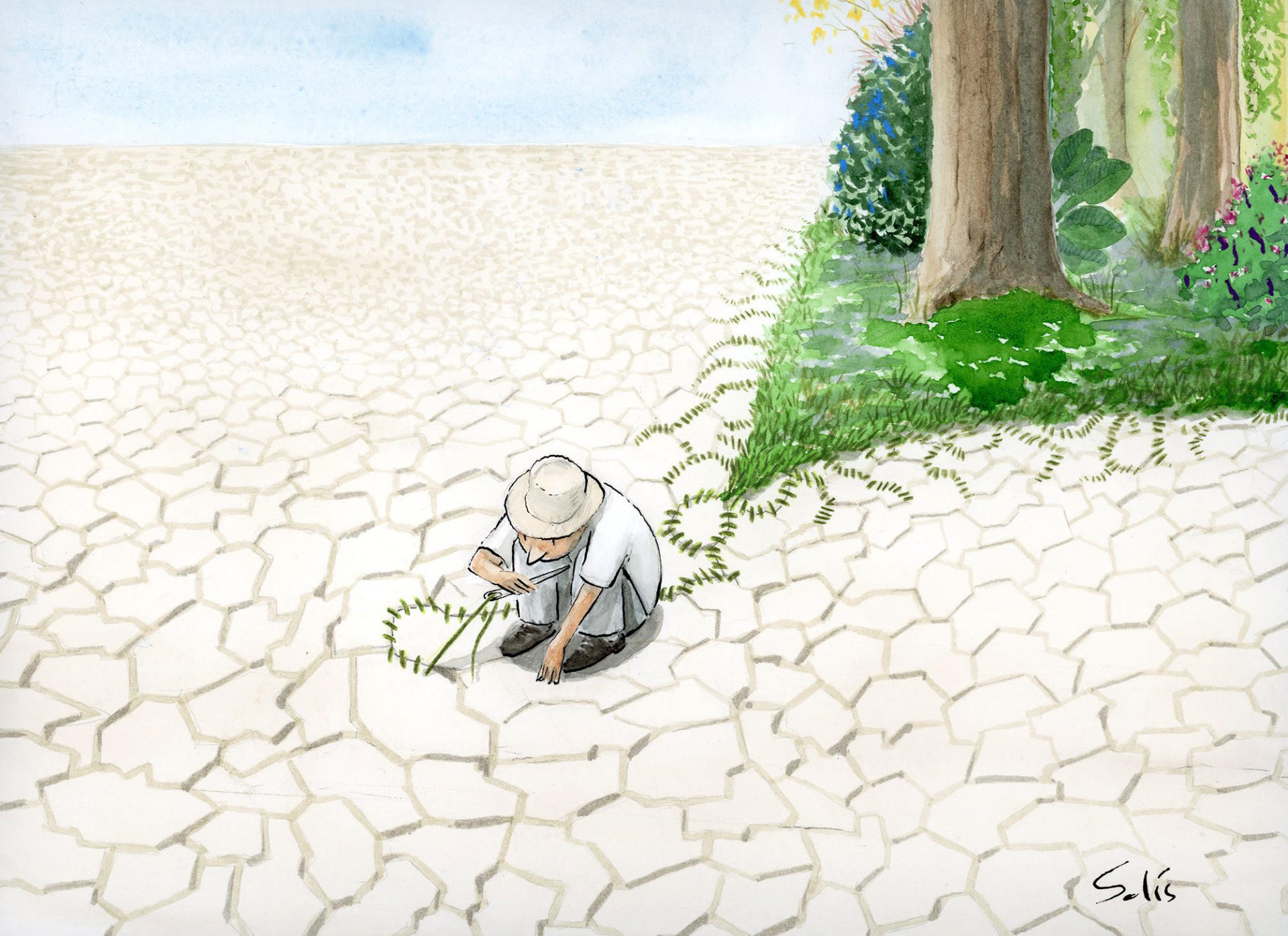 Cosiendo heridas (Desertificación y sequía). Por Víctor Solís (@Visoor) 