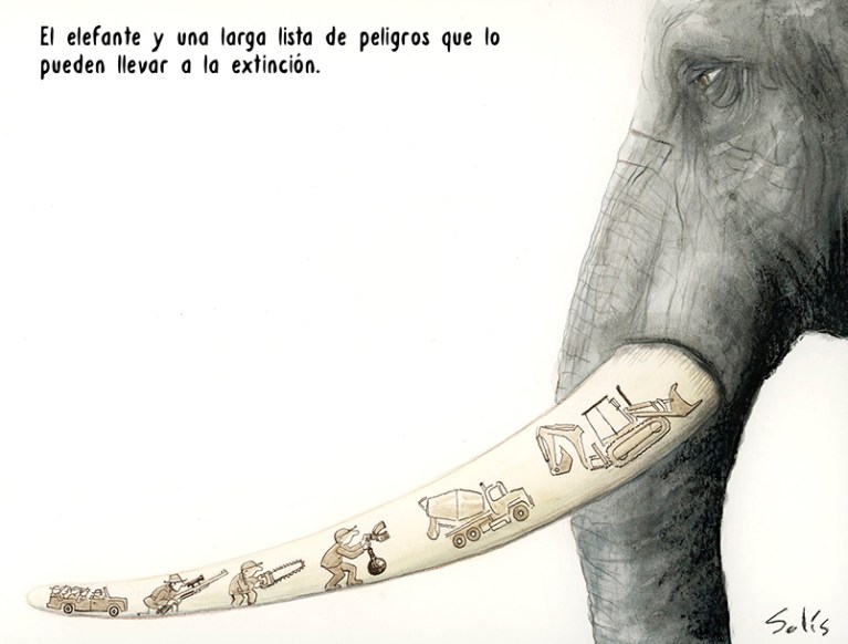 La senda de looselefantes (los riesgos que afrontan estos paquidermos en su día a dia). Por () Víctor Solís (@Visoor) desde Ciudad de México en la #ViñetaVerde de @EFEverde