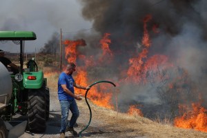 14/08/2025.- Una persona lucha contra las llamas del incendio de A Gudiña (Ourense), este jueves. La DGT ha informado de que la circulación en la autovía A-52 está cortada entre los kilómetros 124 y 129 por los incendios forestales, concretamente en la zona de A Gudiña. La autovía está cortada en ese tramo en ambos sentidos y también está afectada la N-525 en los puntos kilométricos 129 y 86. EFE/ Sxenick