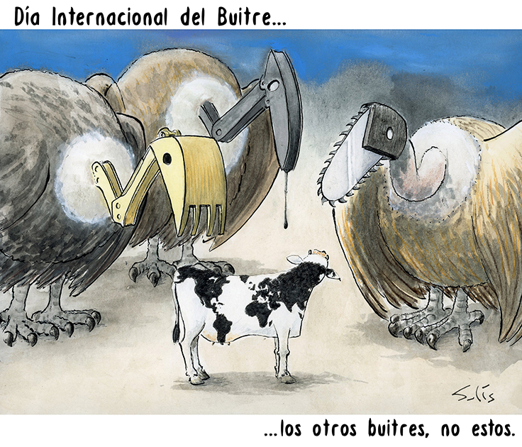 Dia internacional del buitre (los otros, no estos). Por Víctor Solís (@Visoor) 