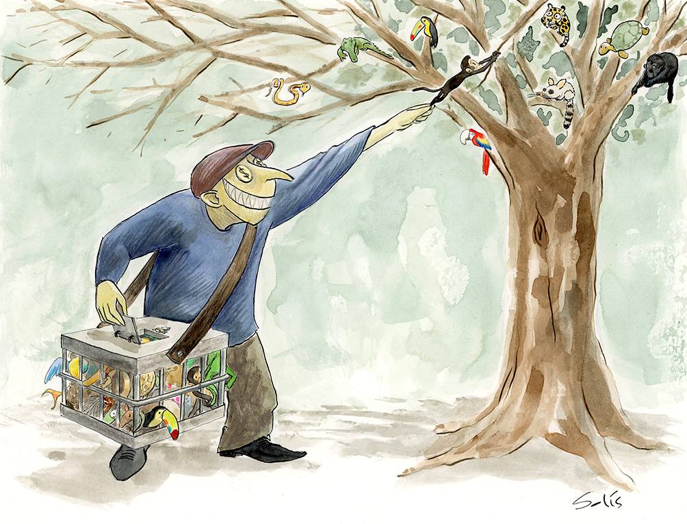 Insaciable e inmisericorde tráfico de especies