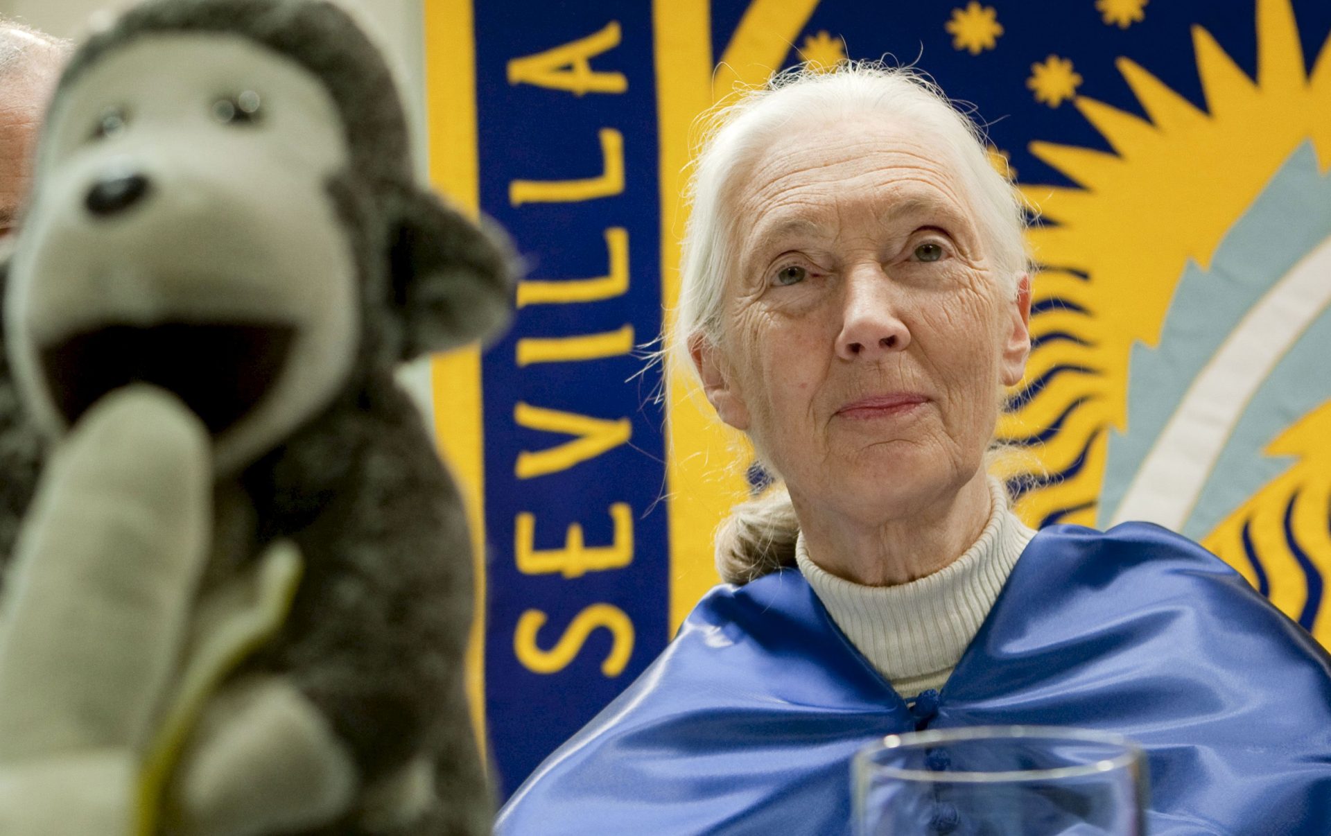 Archivo 25/11/2009,- La primatóloga británica Jane Goodall, junto a su inseparable mascota, poco antes de ser investida doctora honoris causa por la universidad Pablo de Olavide de Sevilla, coincidiendo con la celebración del VIII Congreso Internacional de Periodismo Ambiental organizado por APIA en la capital sevillana y en el que se ha presentado EFEverde. EFE/Julio Muñoz