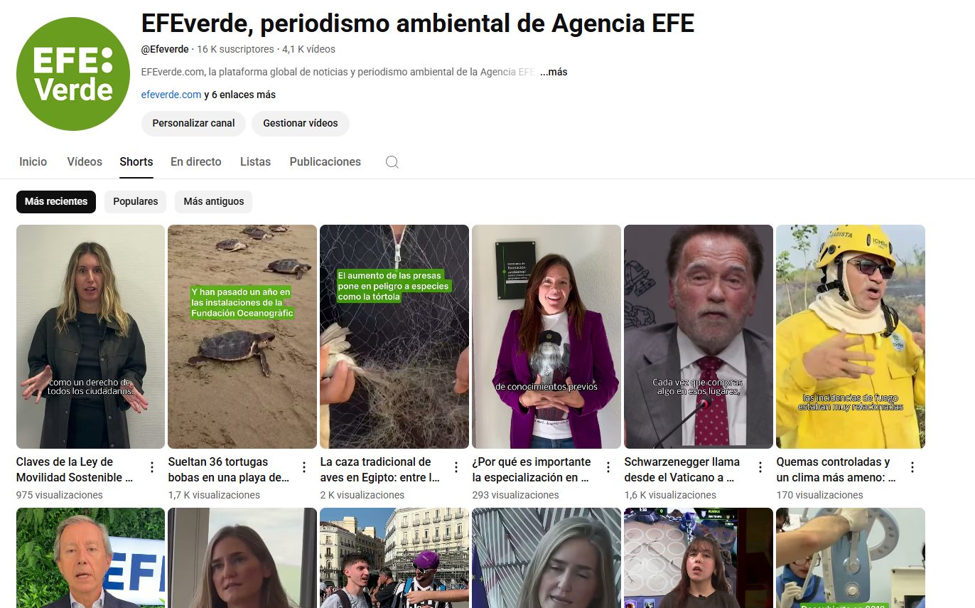 Noticias verdes en 60 segundos: cambio climático, biodiversidad y sostenibilidad en los Shorts de EFEverde.