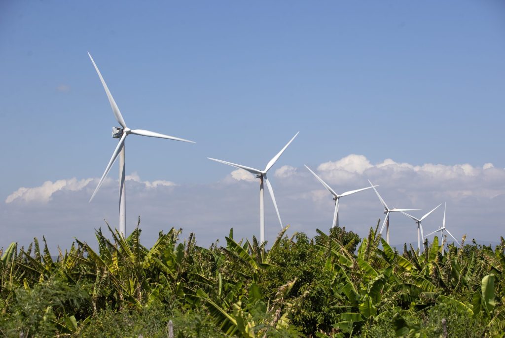 AME1661. SANTO DOMINGO (REPÚBLICA DOMINICANA), 22/03/2025.- Fotografía que muestra turbinas de energía eólica este viernes, en Los Cocos (República Dominicana). Las fuentes de energía renovables (solar, eólica y biomasa) producen el 23% de la electricidad en República Dominicana. EFE/ Orlando Barría