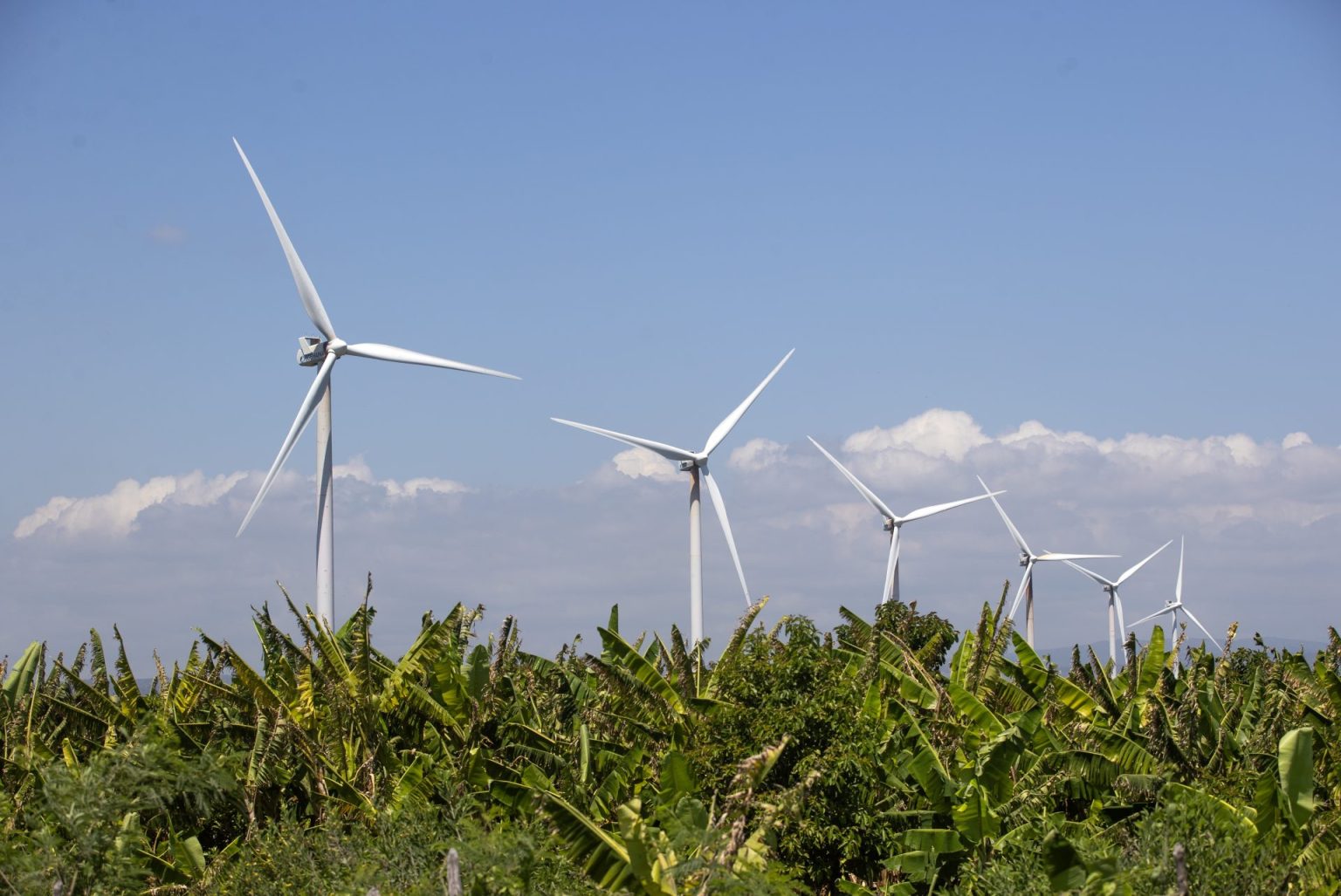 AME1661. SANTO DOMINGO (REPÚBLICA DOMINICANA), 22/03/2025.- Fotografía que muestra turbinas de energía eólica este viernes, en Los Cocos (República Dominicana). Las fuentes de energía renovables (solar, eólica y biomasa) producen el 23% de la electricidad en República Dominicana. EFE/ Orlando Barría