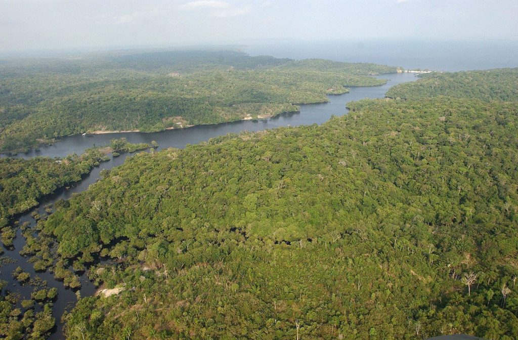 BRA20 MANAUS (BRASIL), 26/11/2014.- Fotografía de archivo del 11 de septiembre de 2003 de la floresta amazónica brasileña. La deforestación en la Amazonía Legal, formada por los nueve estados que integran la cuenca hidrográfica del río Amazonas, cayó un 18 % el último año y se han perdido 4.848 kilómetros cuadrados de cubierta vegetal entre agosto de 2013 y julio de 2014, frente a los 5.891 kilómetros cuadrados talados durante el mismo periodo del año anterior. EFE/ ARCHIVO / Marcelo Sayão