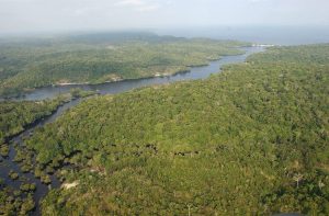 BRA20 MANAUS (BRASIL), 26/11/2014.- Fotografía de archivo del 11 de septiembre de 2003 de la floresta amazónica brasileña. La deforestación en la Amazonía Legal, formada por los nueve estados que integran la cuenca hidrográfica del río Amazonas, cayó un 18 % el último año y se han perdido 4.848 kilómetros cuadrados de cubierta vegetal entre agosto de 2013 y julio de 2014, frente a los 5.891 kilómetros cuadrados talados durante el mismo periodo del año anterior. EFE/ ARCHIVO / Marcelo Sayão